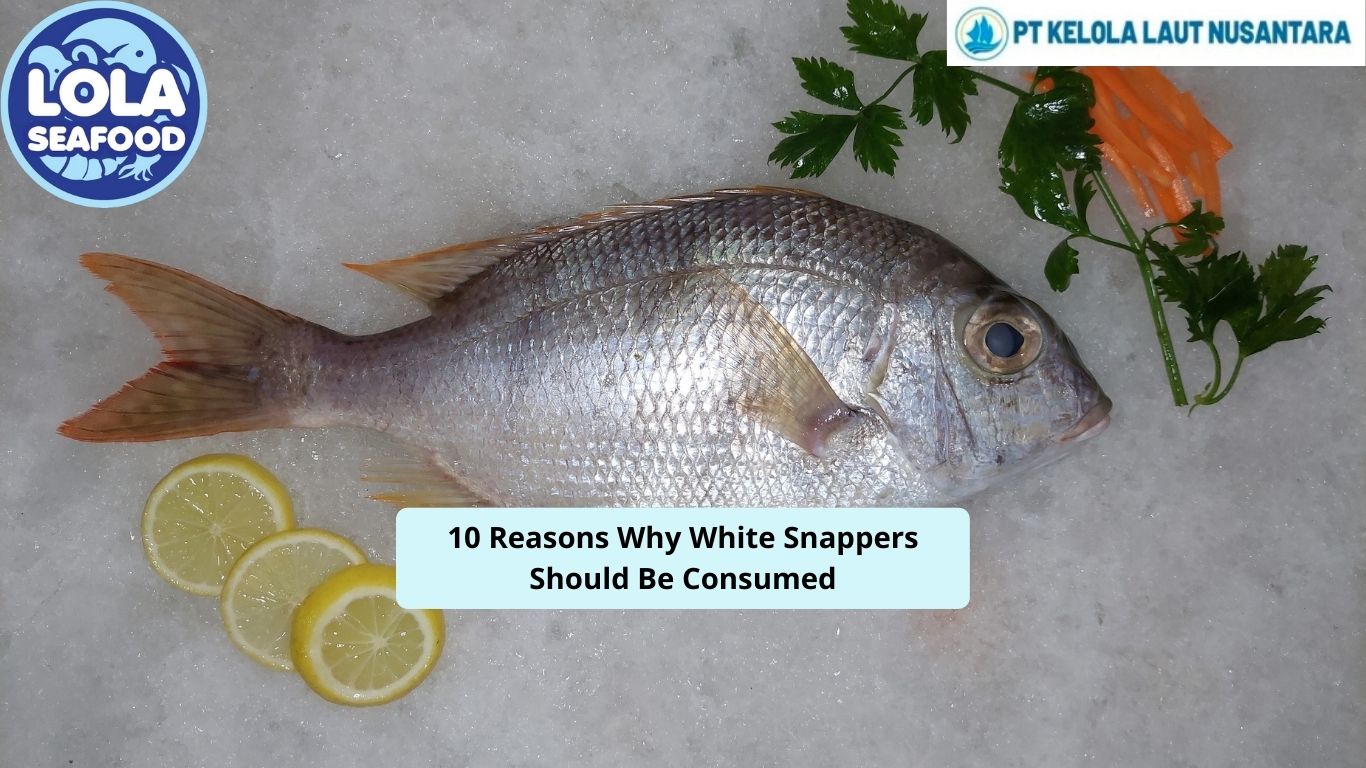 10 Reasons Why White Snappers Should Be Consumed